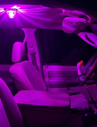 Universal Single Watermelon Kit